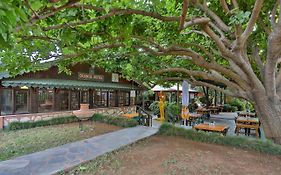 Çıralı Orange Motel